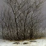 Bushes in the snow - Caspar David Friedrich c1827