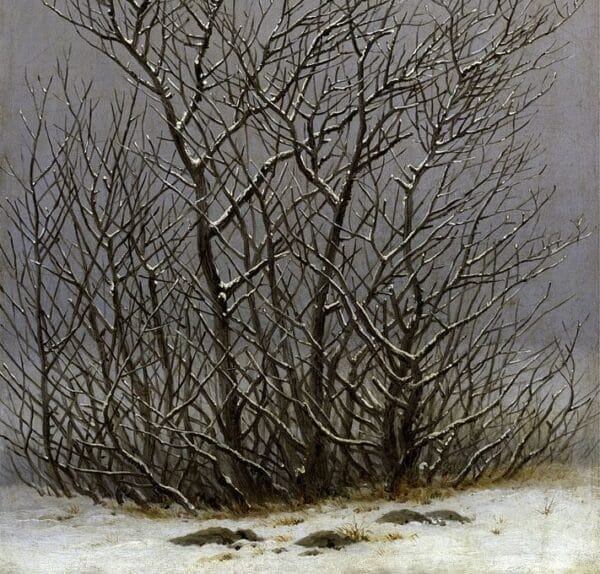 Bushes in the snow - Caspar David Friedrich c1827